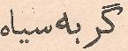 Parviz Ghazi Saeed book